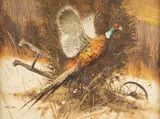 Robert Kennedy Abbett, Pheasant, oil on panel