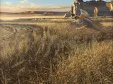 Prairie Heritage by Scot Storm, oil on board, offered Mar 2026