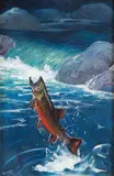 Frank Stick, Arctic Char