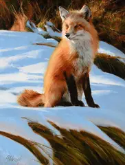 Edward Aldrich, Fox, oil on canvasboard