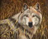 Joe Kronenberg, A Short Pause, oil on canvasboard