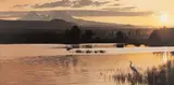 Rod Frederick, Blue and Gold, oil on canvas