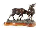 Rick Taylor, Battle of Titans, bronze