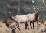 Kyle Sims, Love Games, oil on canvas