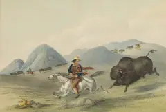George Catlin, No. 12, Buffalo Hunt - Chasing Back, lithograph $1,000-1,500