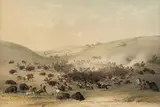 George Catlin, No. 9 Buffalo Hunt, Surround, lithograph $1,000-1,500
