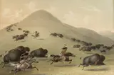 George Catlin, No. 6, Buffalo Hunt, Chase, lithograph $1,000-1,500
