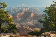 Tom Murray, Canyon Morning, oil on canvas