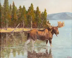 Dave Hodges, Melita Moose, oil on canvas