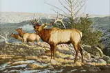 The Call by Don Rodell, oil on canvas, offered Mar 2026