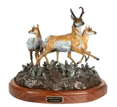 Jay Contway, Mysteries of the Fog, bronze