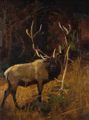 Luke Frazier, Sapling, oil on board