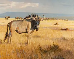 Grant Hacking, Wildebeest, oil on canvas