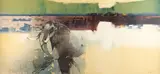 Keith Joubert, Bull Elephant, Linmanti, oil on canvas