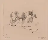 William "Bill" Gollings, Sentinels, etching Original pencil signature lower right