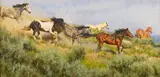 Tobias Sauer, Wild Hearts, oil on board