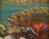 Mark Susinno, Releasing a Bull Trout, oil on linen panel
