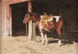Tucker Smith, The Pinto
