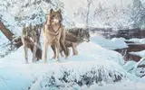 On Alert by Richard Luce, oil on canvas, offered Mar 2025