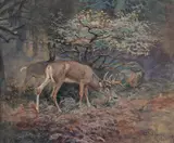 Charles Marion Russell, Whitetail
