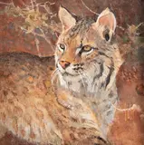 Bob Kuhn, Bob's Cat, acrylic on board