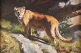 Brandon Bailey, Vigilance, oil on canvas