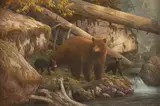 Hayden Lambson, Mother and Cubs, oil on canvas