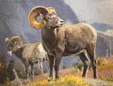 Luke Frazier, September Rams