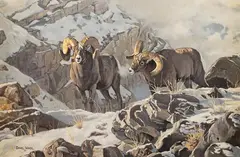 Dave Wade, Bighorn Sheep, oil on canvas