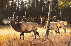 Dave Wade, Elk Herd, oil on board