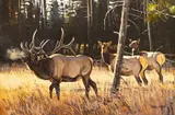 Dave Wade, Elk Herd, oil on board