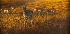 Joe Kronenberg, Walking Softly, oil on board