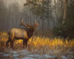 Joe Kronenberg, Golden Bugle, oil on board
