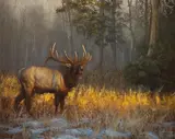 Joe Kronenberg, Golden Bugle, oil on board