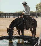 George Hallmark, Cuttin' the Dust, mixed media