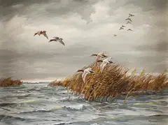 David Maass, At the Inlet - Canvasbacks, oil on board