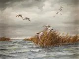 David Maass, At the Inlet - Canvasbacks