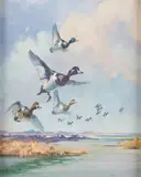 George Browne, Ducks in Flight