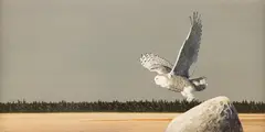Morten E. Solberg, The Perch, acrylic on board