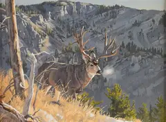 Dave Wade, Mule Deer, oil on canvas