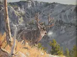 Dave Wade, Mule Deer, oil on canvas
