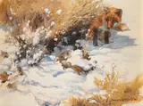 John Seerey-Lester, Young Predator, oil on canvas