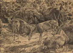 Greg Beecham, Study for Bucks Lair, pencil
