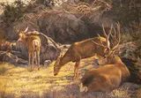 Greg Beecham, Bucks Lair, oil on canvas
