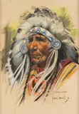 Harley Brown, Sitting Eagle, pastel