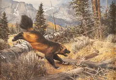 Tom Beecham, Wolverines - Fast Food, oil on canvas