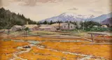 Theodore J. Richardson, Shakes Island Wrangell