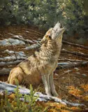 Krystii Melaine, November Song, oil on board