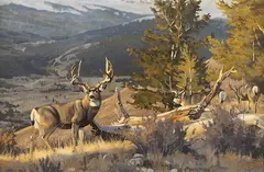 Dave Wade, Mule Deer, oil on board