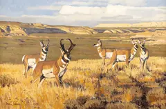 Dave Wade, Antelope, oil on board